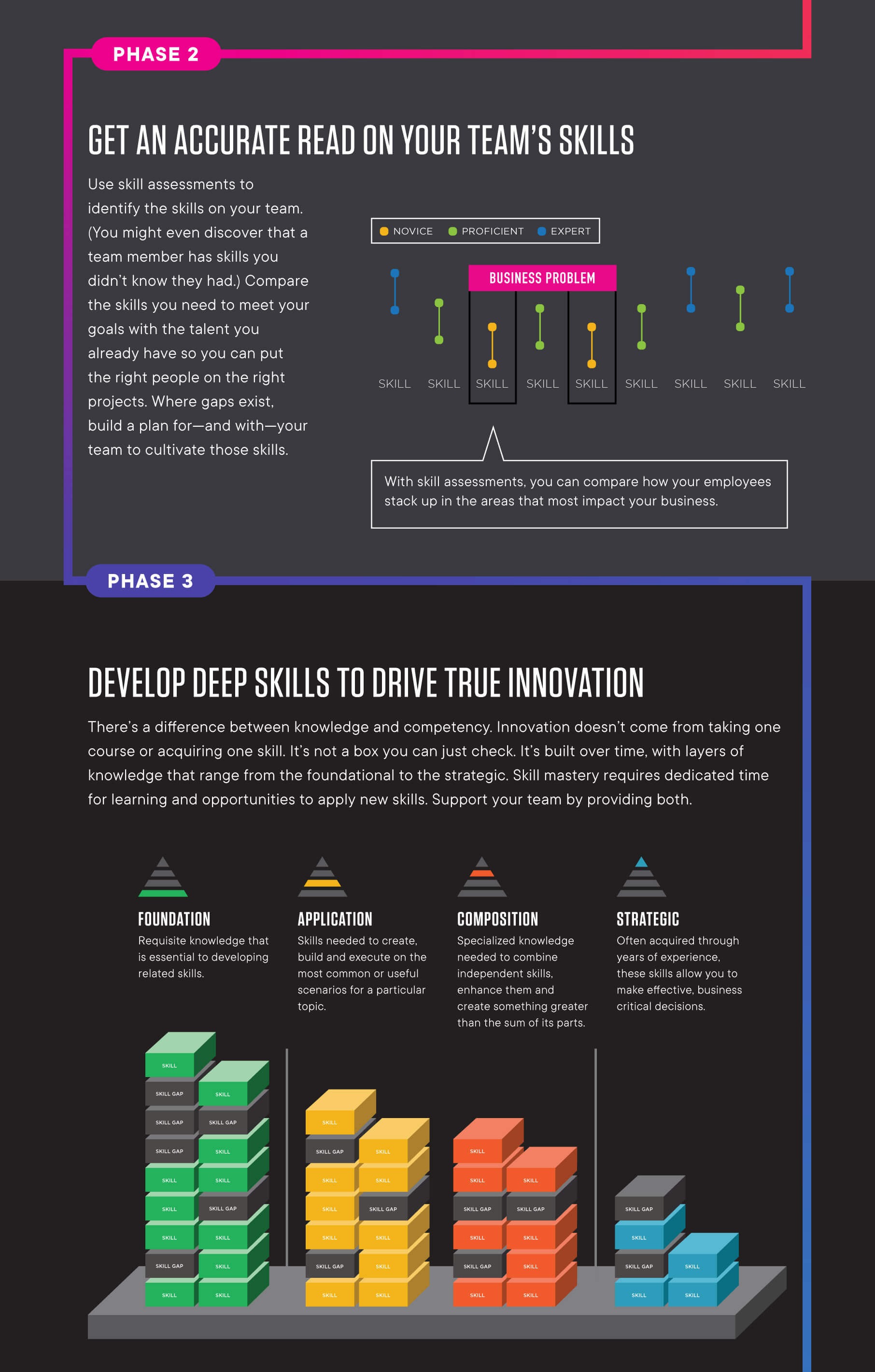 Infographic Skills Gap